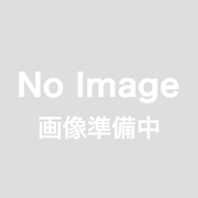 おまかせ観葉植物（ラッピング付き｜高さ170cm × 幅50cm｜税別18,000円）